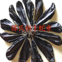 干蛇胆，养殖基地让利促销干蛇胆，欢迎电商，门店，转卖代卖