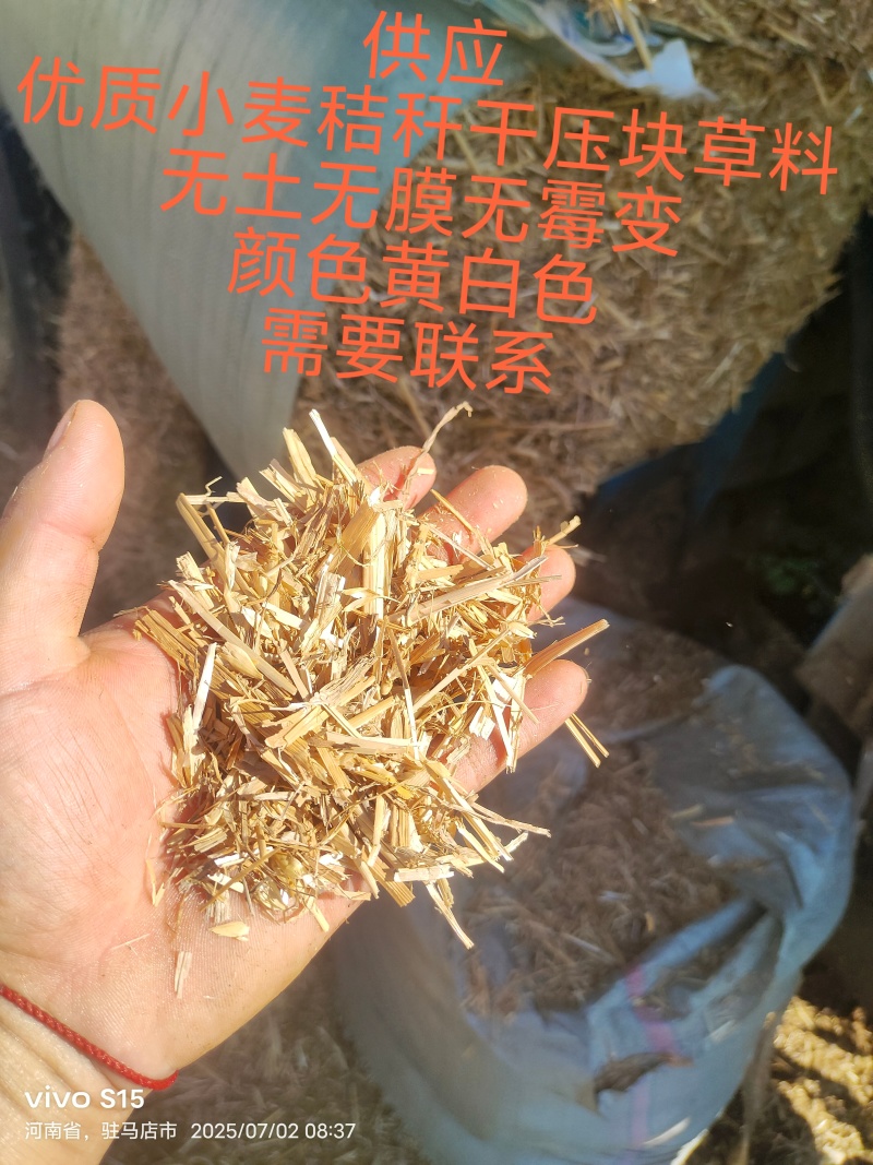 优质小麦秸秆牛羊干草料，价格美丽，需要联系