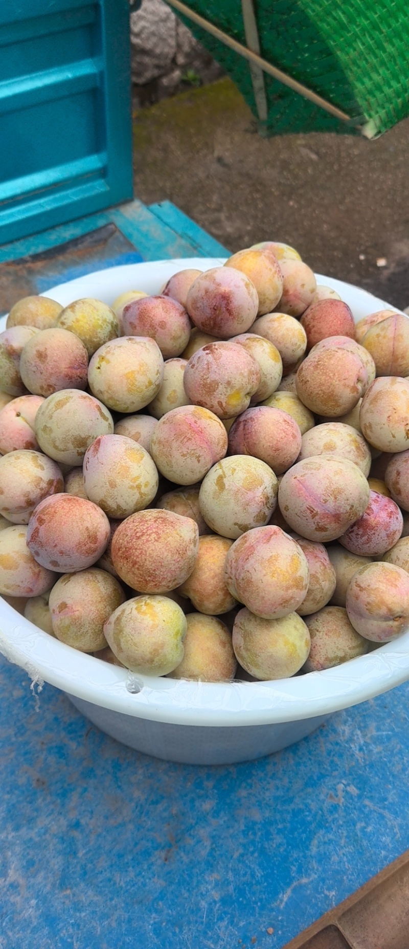 灵鹅桃形李