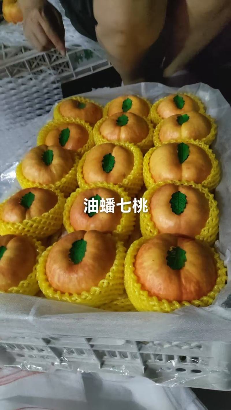 大个油蟠七预售中，有需要的老板通过一亩田和我联系，口感
