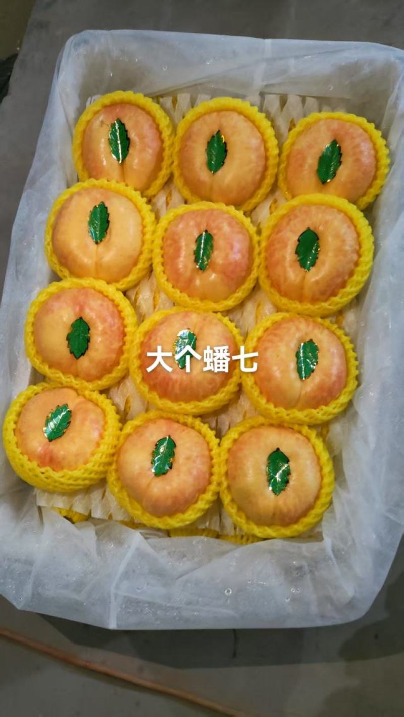 大个油蟠七预售中，有需要的老板通过一亩田和我联系，口感