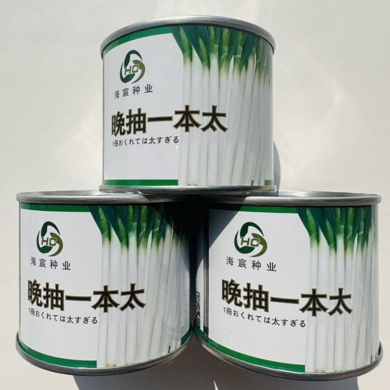 晚抽一本太大葱种子耐热耐寒耐涝山东大葱种籽钢葱种子抽苔晚