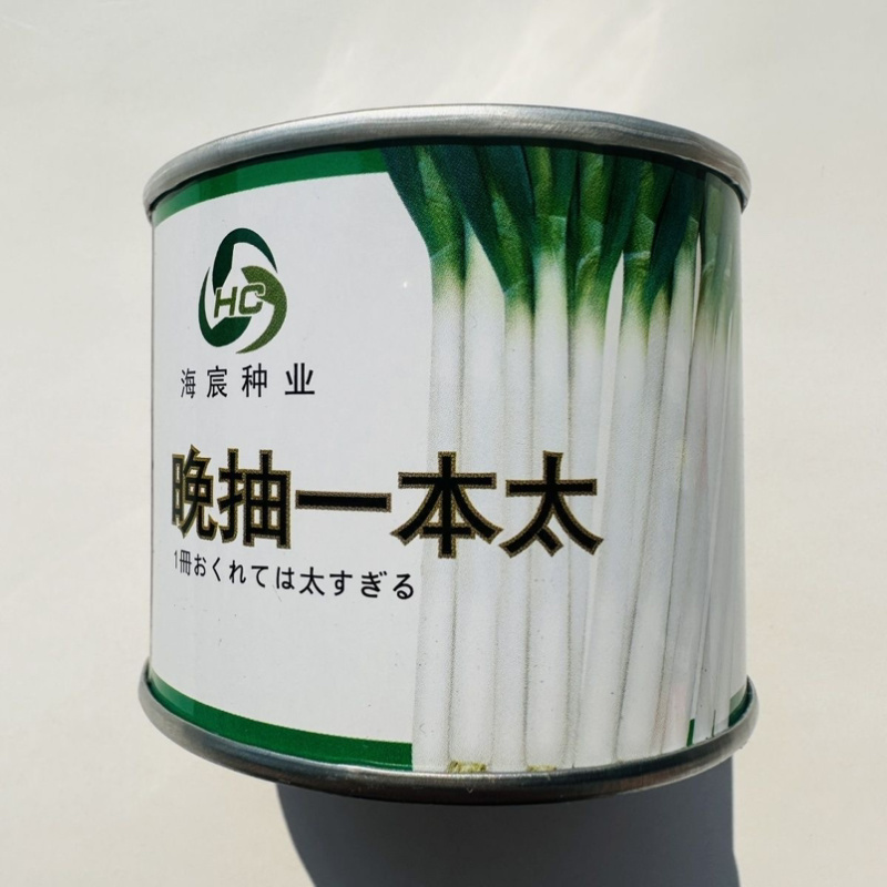 晚抽一本太大葱种子耐热耐寒耐涝山东大葱种籽钢葱种子抽苔晚