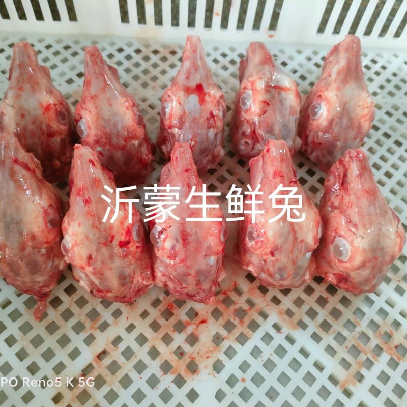 兔头冷冻批发零售20斤80个90个100个110个