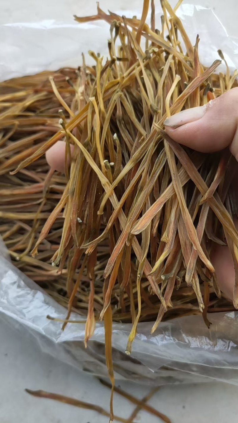 【热卖】黄花菜产地直销量大从优质优欢迎各大老板采购