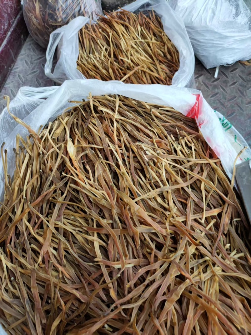 【热卖】黄花菜产地直销量大从优质优欢迎各大老板采购