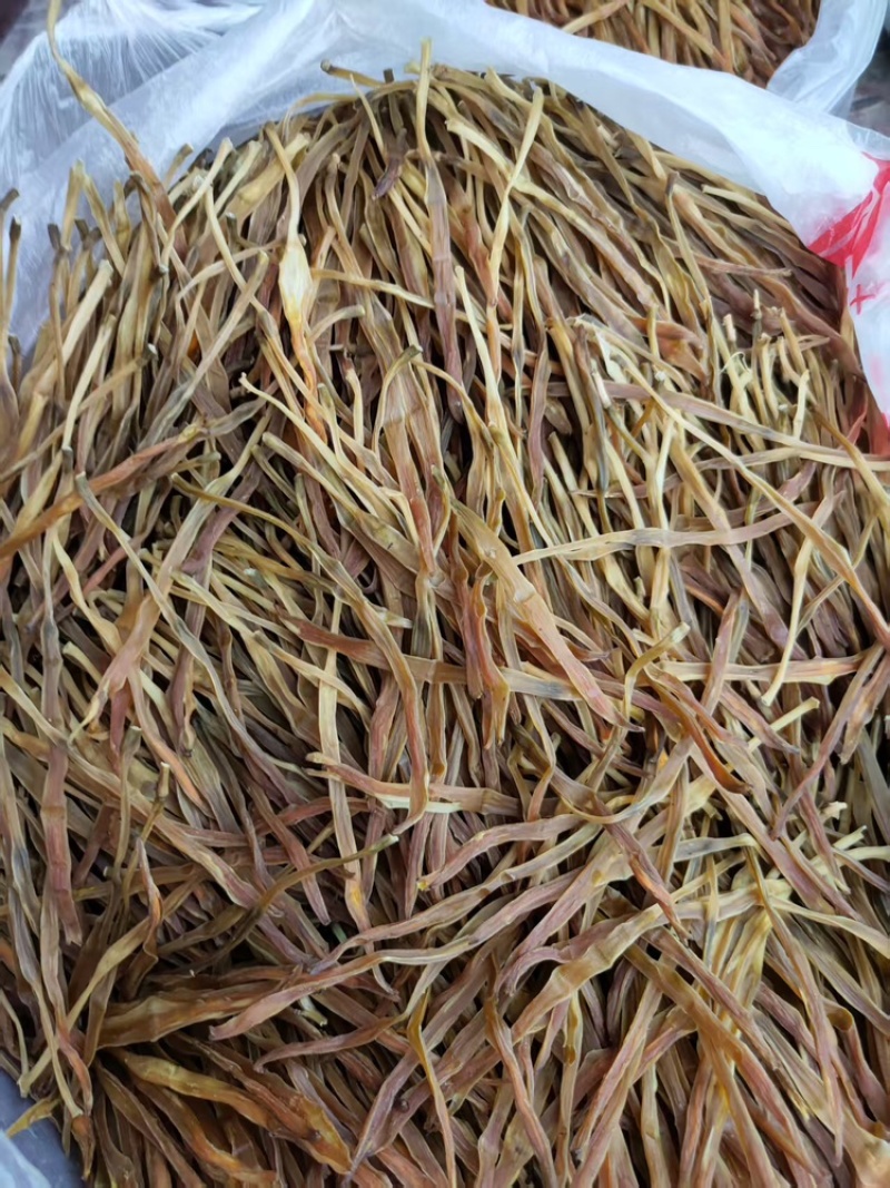 【热卖】黄花菜产地直销量大从优质优欢迎各大老板采购