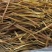 【热卖】黄花菜产地直销量大从优质优欢迎各大老板采购