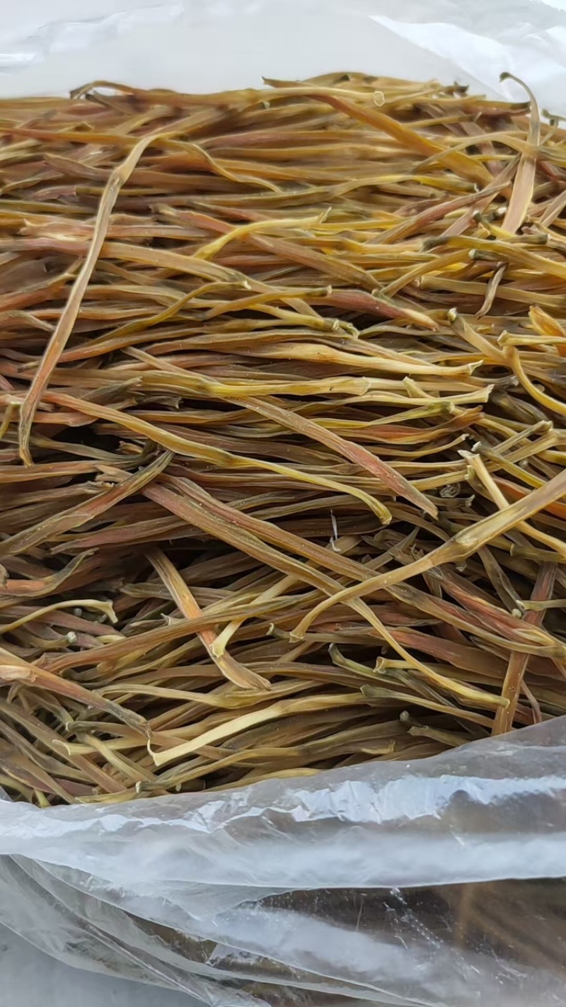 【热卖】黄花菜产地直销量大从优质优欢迎各大老板采购