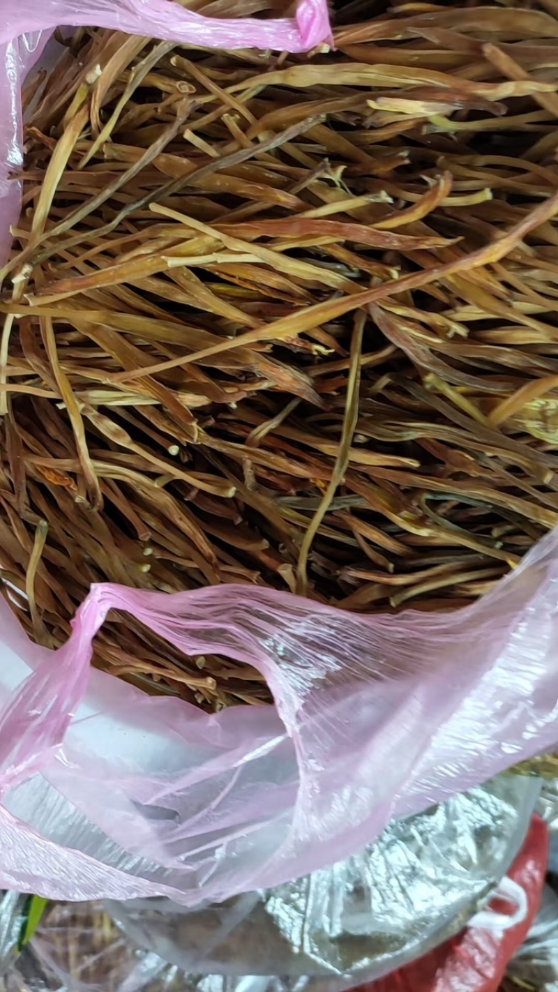 【热卖】黄花菜产地直销量大从优质优欢迎各大老板采购
