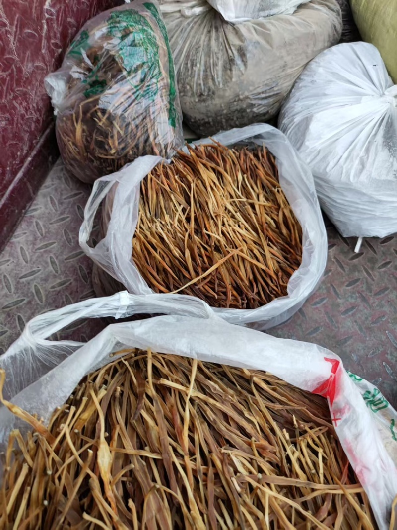 【热卖】黄花菜产地直销量大从优质优欢迎各大老板采购