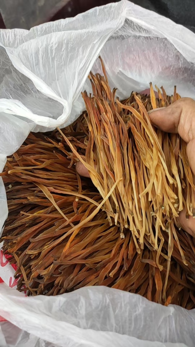 【热卖】黄花菜产地直销量大从优质优欢迎各大老板采购