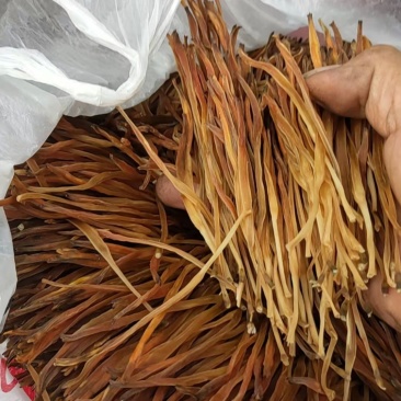 【热卖】黄花菜产地直销量大从优质优欢迎各大老板采购