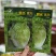 夏季耐热白菜种子夏季耐高温早秋白菜早熟白菜种子