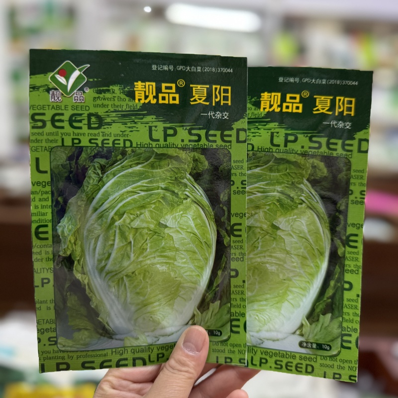 夏季耐热白菜种子夏季耐高温早秋白菜早熟白菜种子