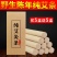 十年陈艾条艾柱家用手工纯艾灸条批发