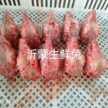 兔头批发零售