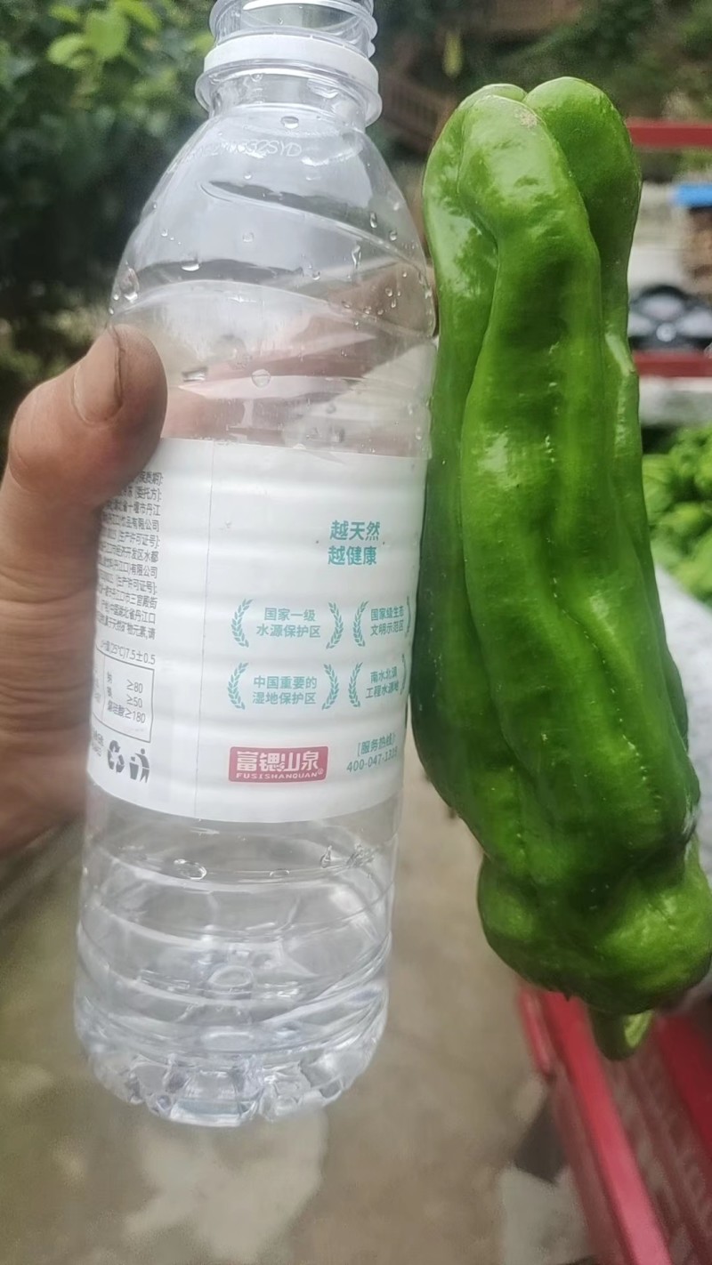 辣椒