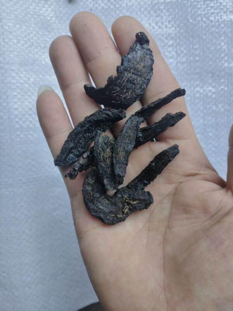新疆和田肉苁蓉。产区直发，当天下单，当天发货