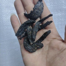 新疆和田肉苁蓉。产区直发，当天下单，当天发货