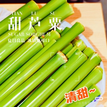 稀缺中段】新鲜甜芦粟甜杆芦稷现砍甜高粱杆青皮甘蔗孕妇时令水果