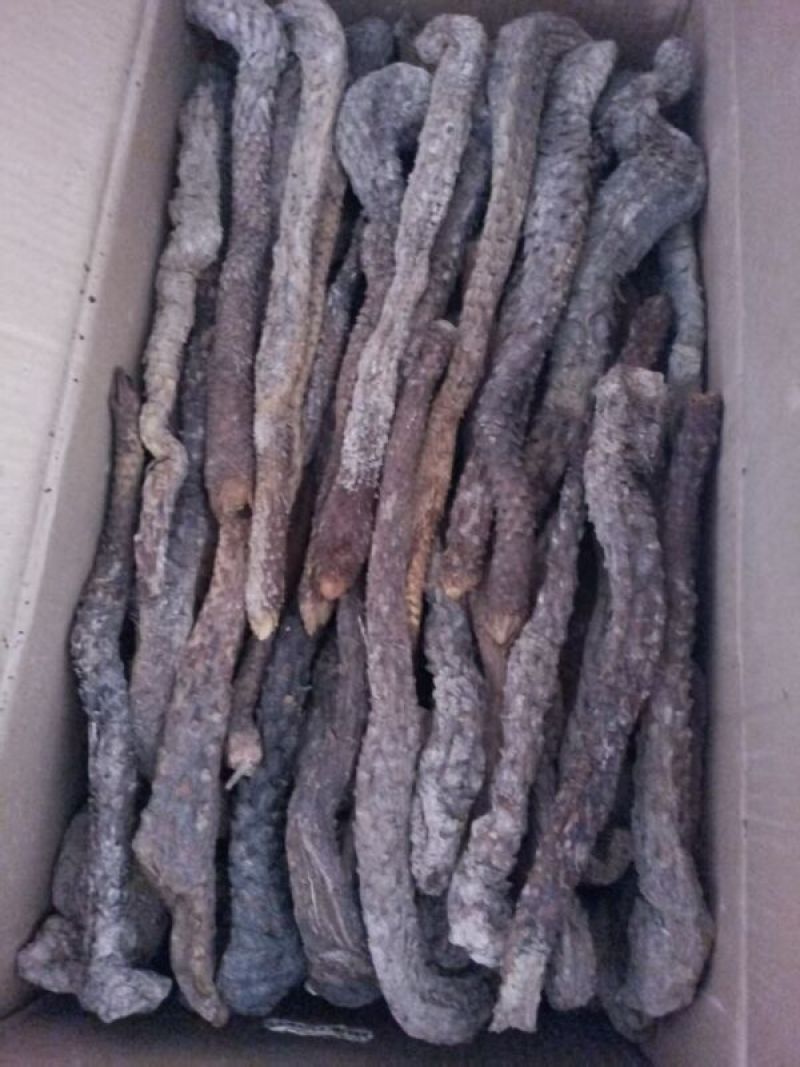 肉苁蓉条形货，当天下单，当天配货，保证完整度