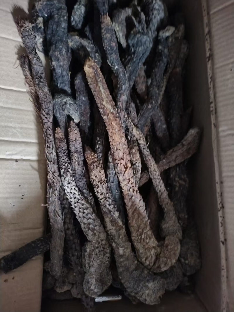 肉苁蓉条形货，当天下单，当天配货，保证完整度