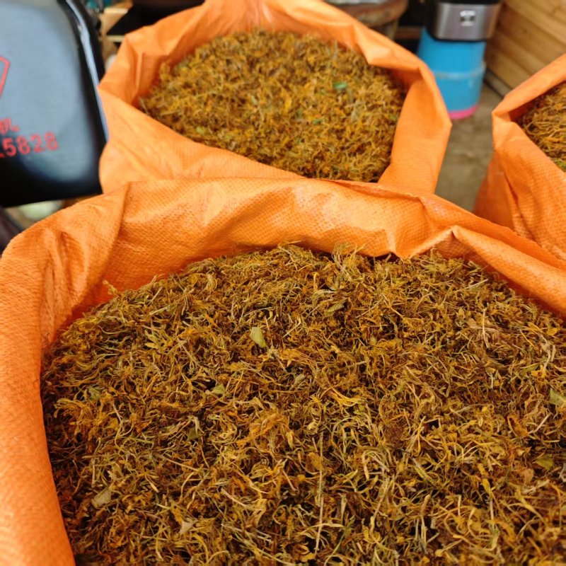 云南高山野生金银产地一手货源，大量有货，欢迎新老客户前来合作