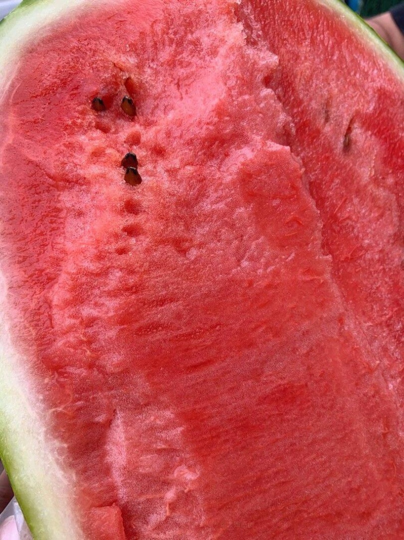 宁夏硒砂瓜石头瓜金花双红瓤薄皮超甜质量保障产地直采