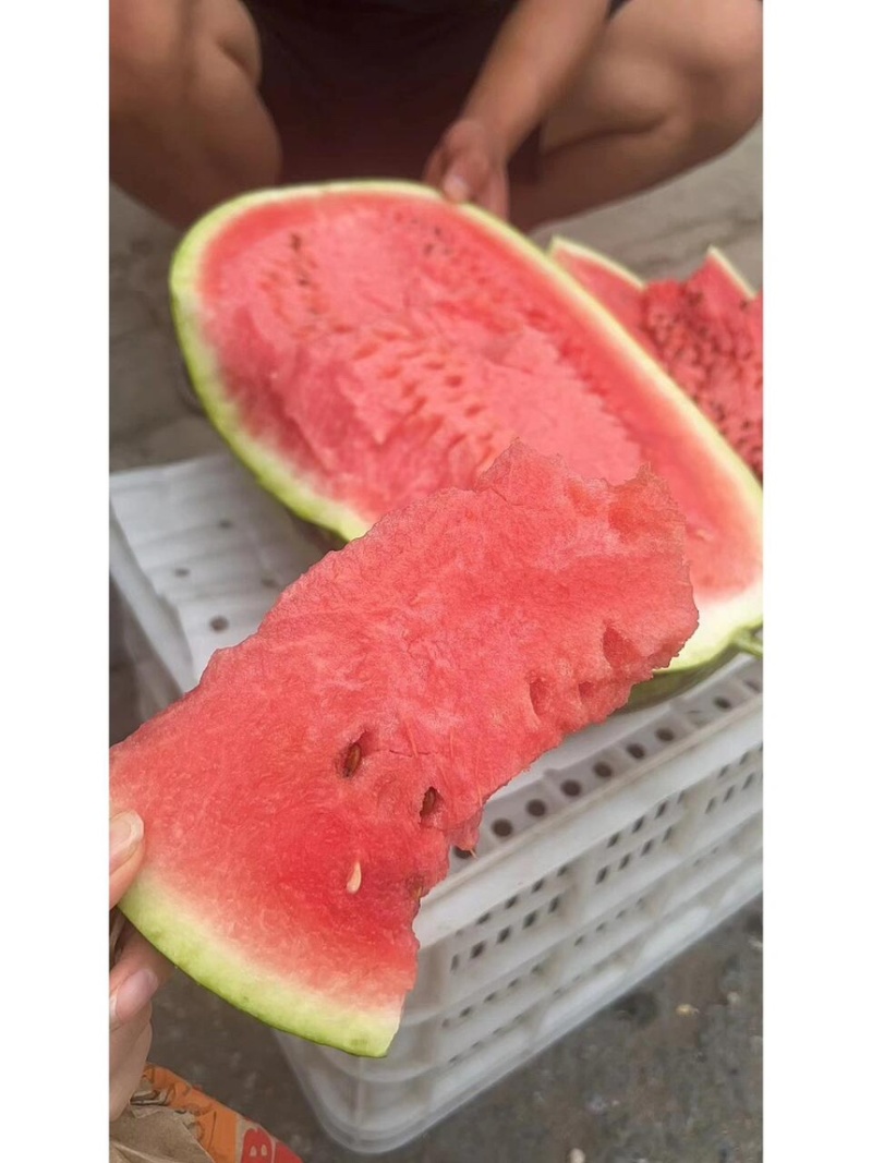 宁夏硒砂瓜石头瓜金花双红瓤薄皮超甜质量保障产地直采
