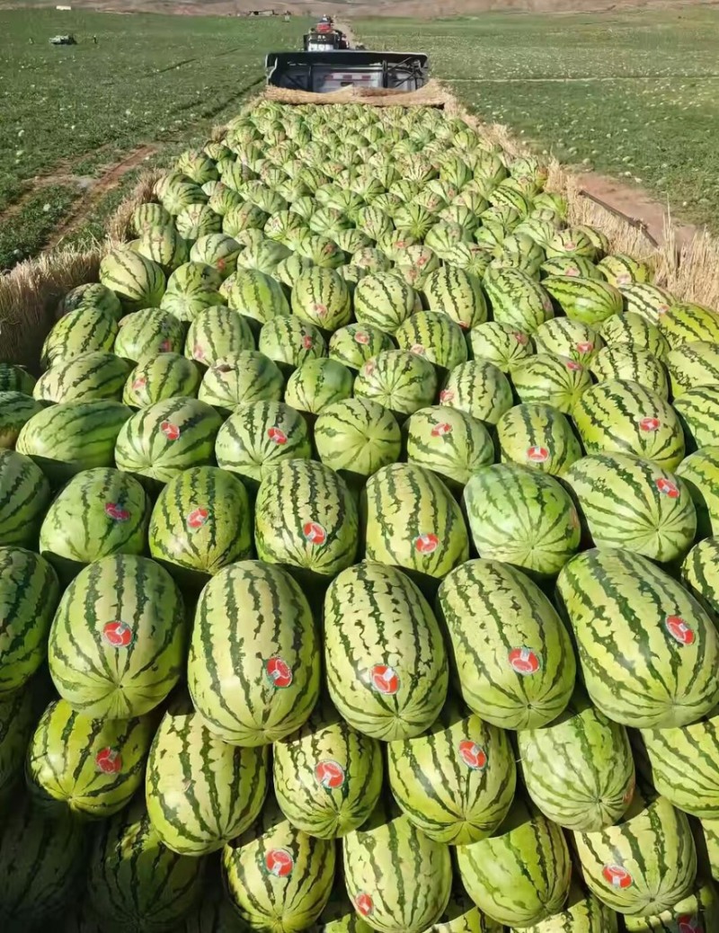 宁夏硒砂瓜石头瓜金花双红瓤薄皮超甜质量保障产地直采