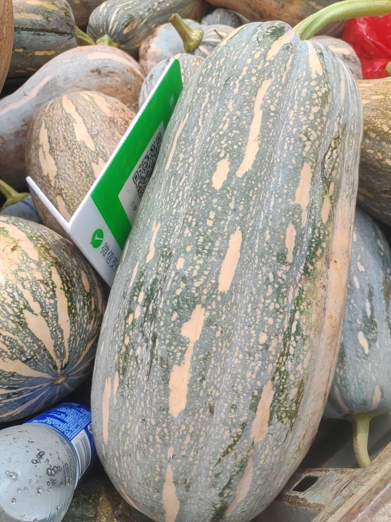 本地南瓜