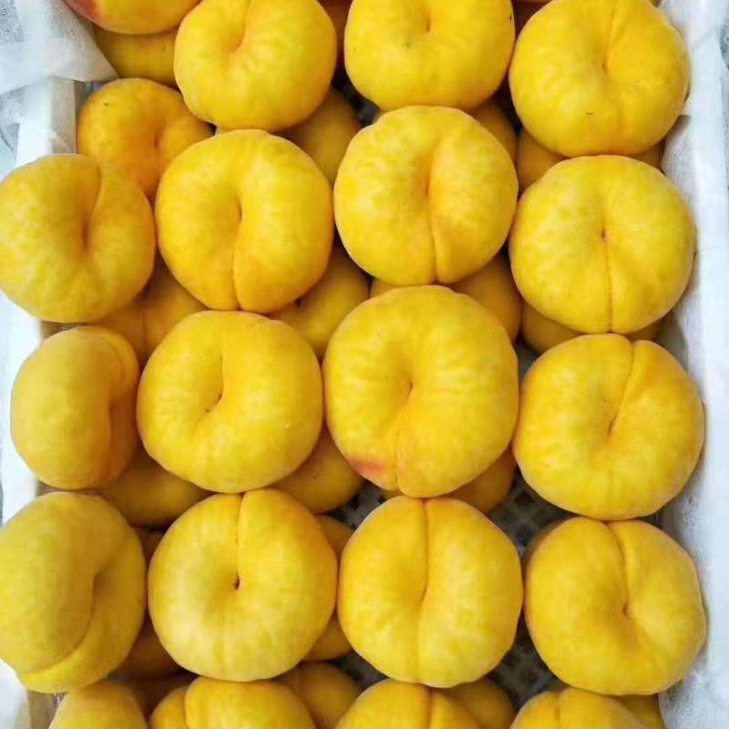 陕西礼泉县，精品，黄蟠桃，油蟠桃，产地直发，货源充足，