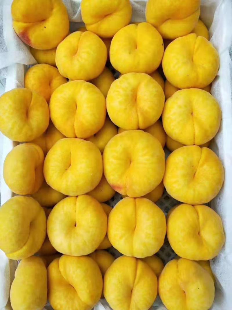 陕西礼泉县，精品，黄蟠桃，油蟠桃，产地直发，货源充足，