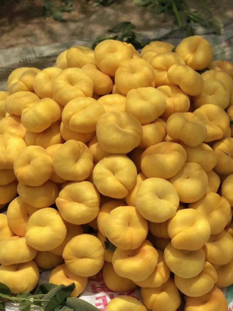 陕西礼泉县，精品，黄蟠桃，油蟠桃，产地直发，货源充足，
