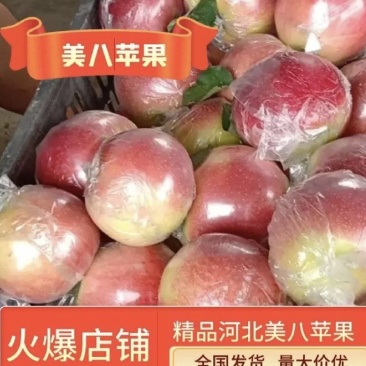 河北唐山乐亭万亩美八苹果，果园直采，手选精品，质量保障。