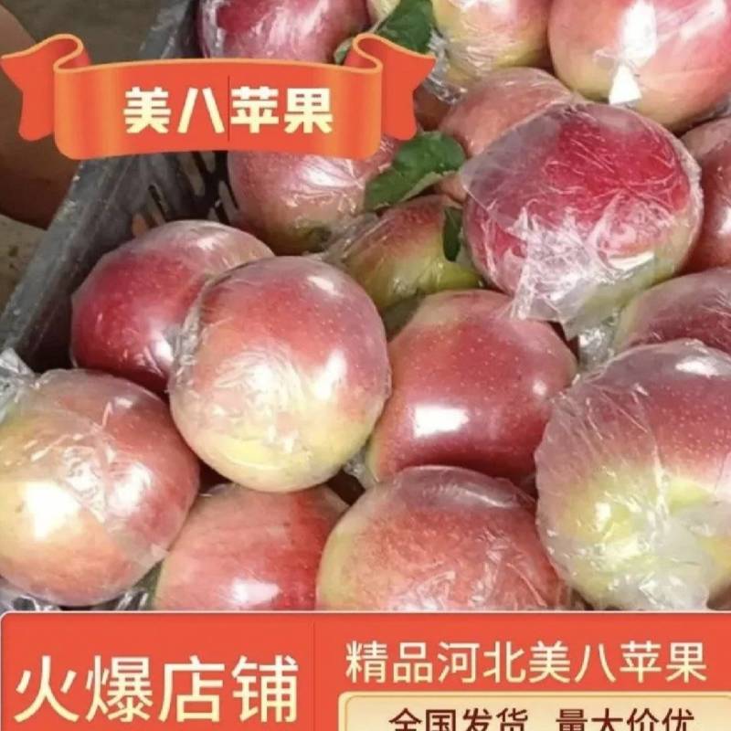 河北唐山乐亭万亩美八苹果，果园直采，手选精品，质量保障。