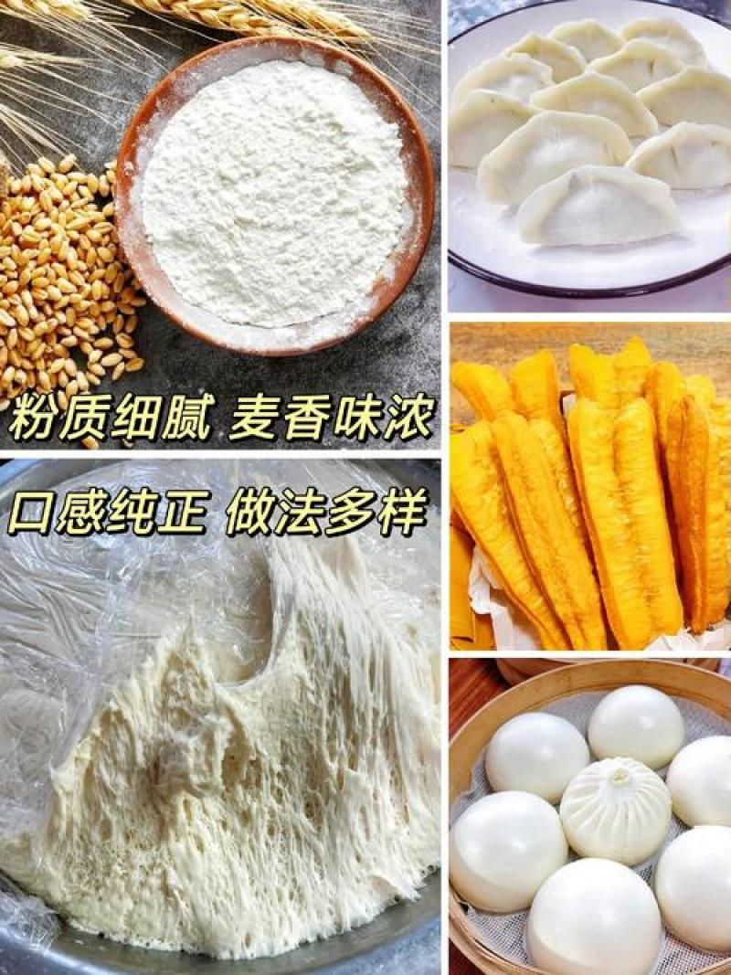 金沙河2.5千克小麦面粉家用包子馒头