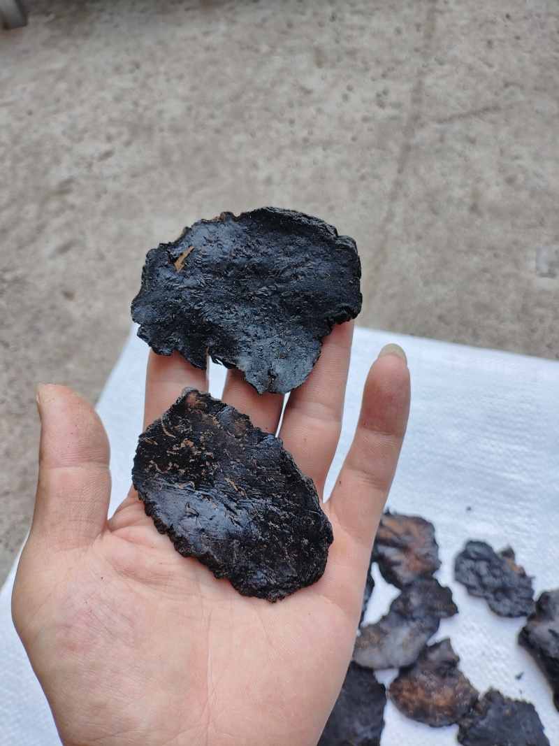 新疆和田肉苁蓉。产区直发，当天下单，当天发货