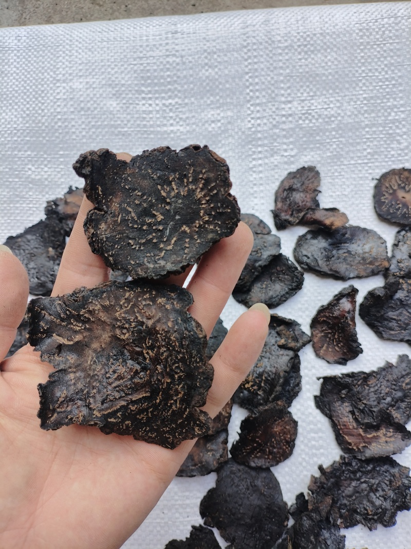 新疆和田肉苁蓉。产区直发，当天下单，当天发货