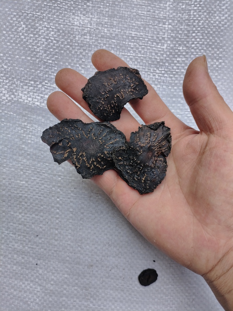 肉苁蓉条形货，当天下单，当天配货，保证完整度