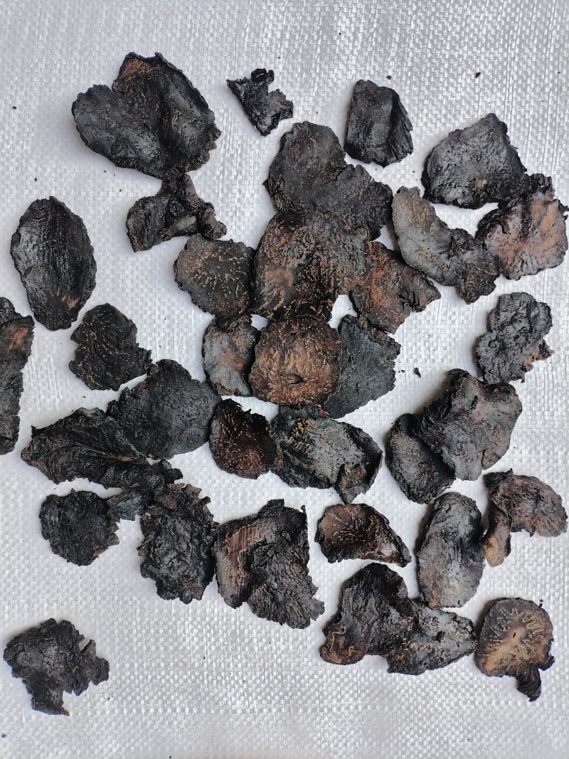 肉苁蓉条形货，当天下单，当天配货，保证完整度