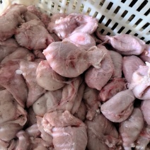 母猪小肚