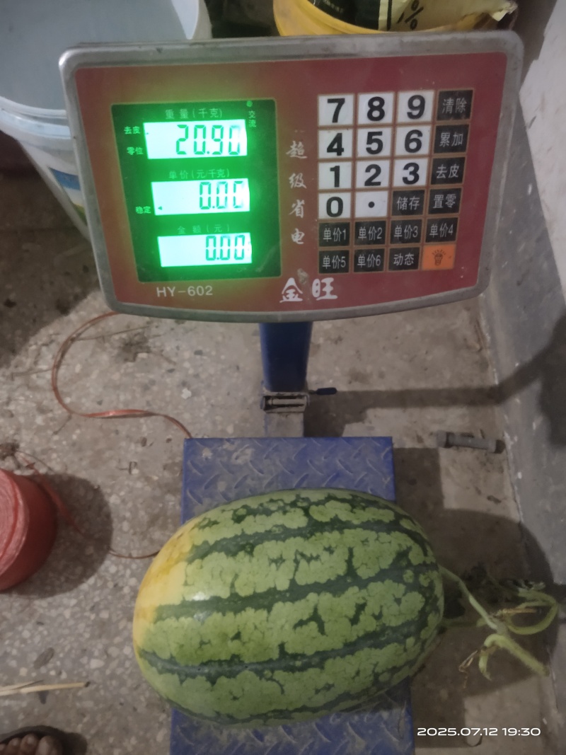 冠龙西瓜新农8号产地一手货源保质保量欢迎随时电话联系
