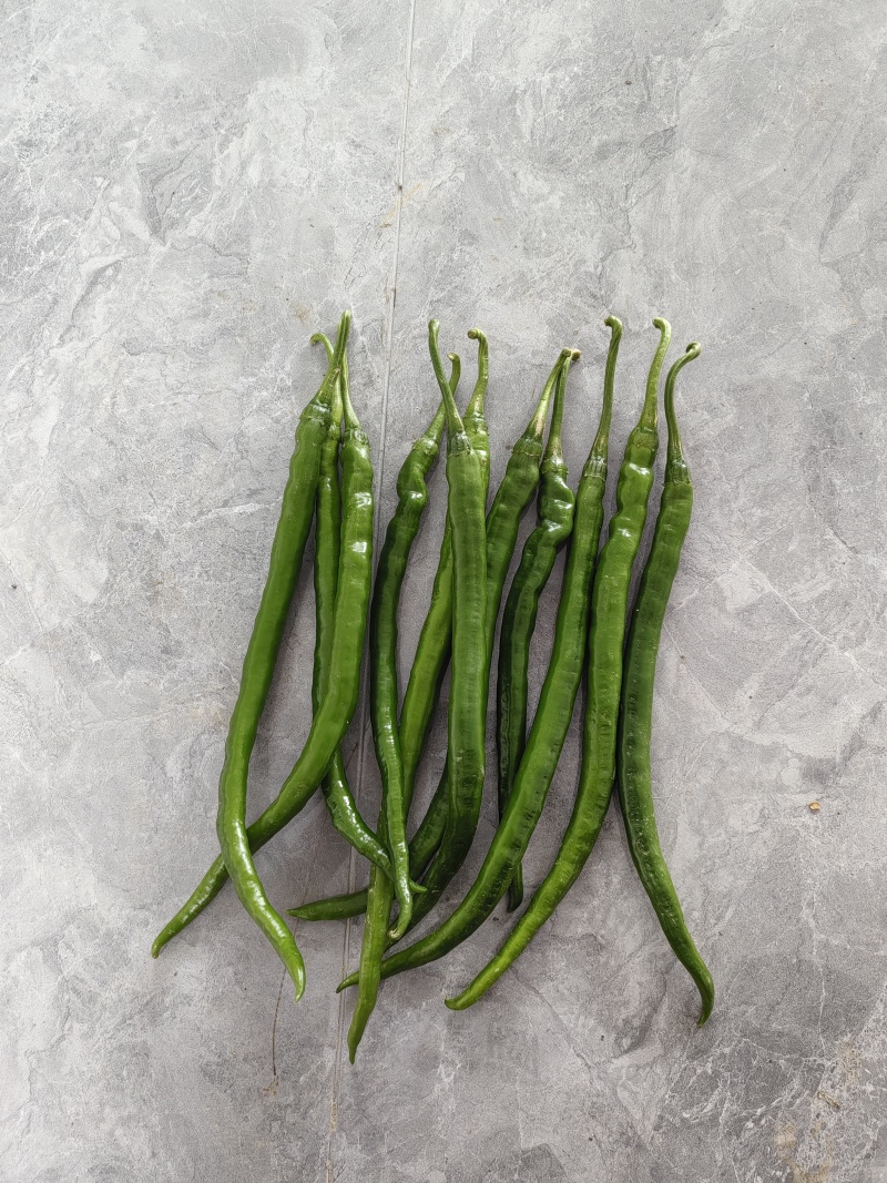 二荆条