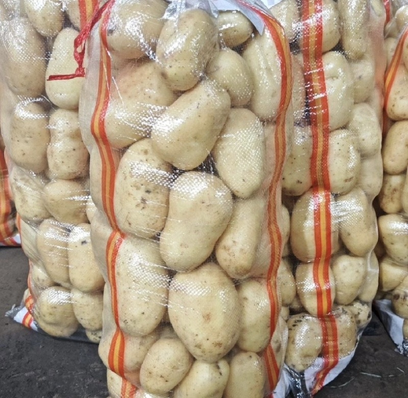 精品黄心土豆一手货，对接，各大市场，商超，加工厂全国发货