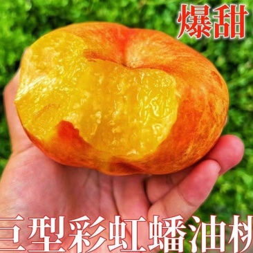 2025年蟠桃上市
