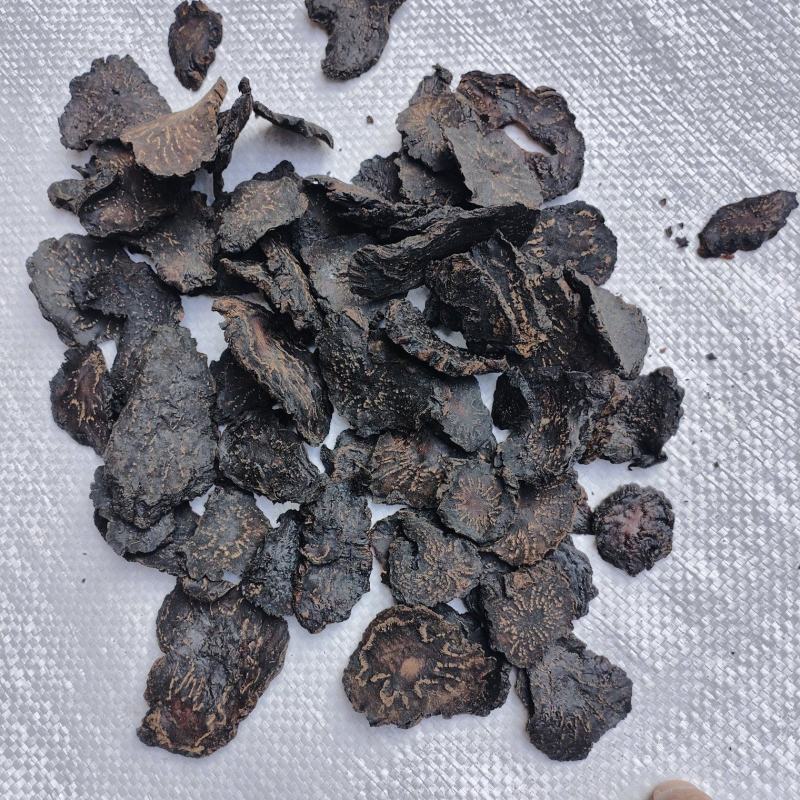 肉苁蓉中大规格油脂片