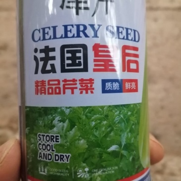 法国皇后芹菜苗