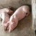 长白仔猪，三元仔猪，约克仔猪，二元仔猪，杜洛克公猪，仔猪